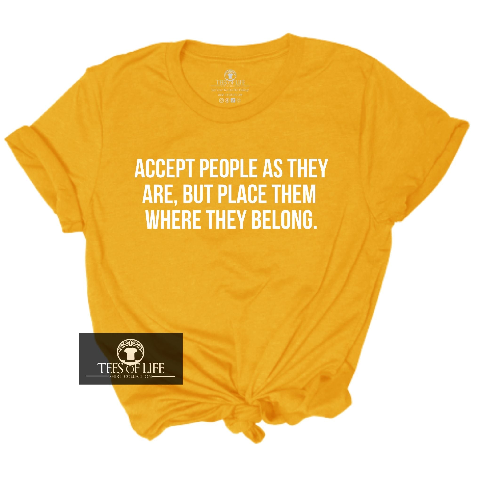 (RTS) 2XL Accept People As They Are Unisex Tee